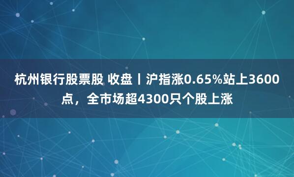 杭州银行股票股 收盘丨沪指涨0.65%站上3600点，全市场超4300只个股上涨