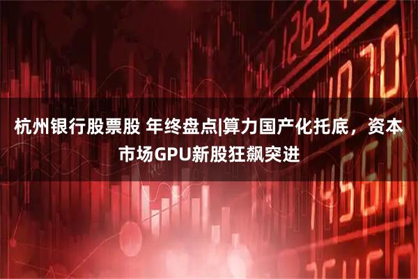 杭州银行股票股 年终盘点|算力国产化托底，资本市场GPU新股狂飙突进