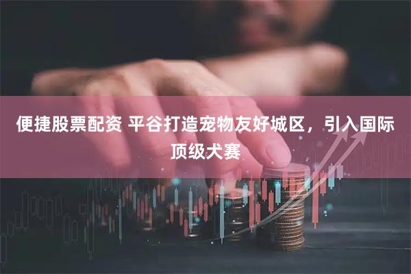 便捷股票配资 平谷打造宠物友好城区，引入国际顶级犬赛